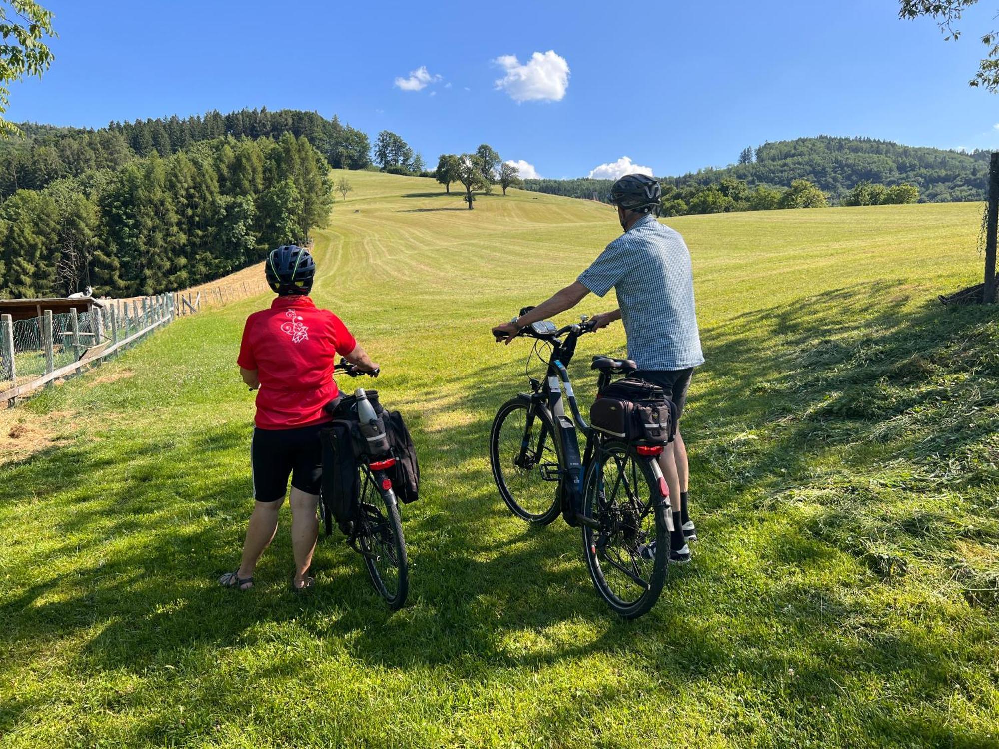 Landhaus Aigner Allhartsberg Esterno foto
